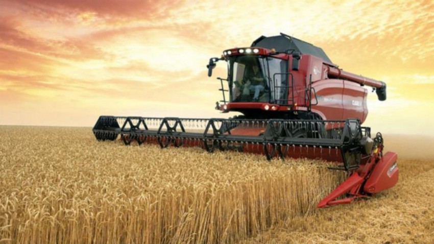 2023 yılında hedeflenen buğday üretimi açıklandı