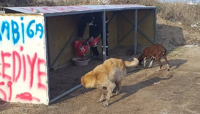 KARABİGA BELEDİYESİ SOĞUK HAVALARDA SOKAK HAYVANLARINI UNUTMADI