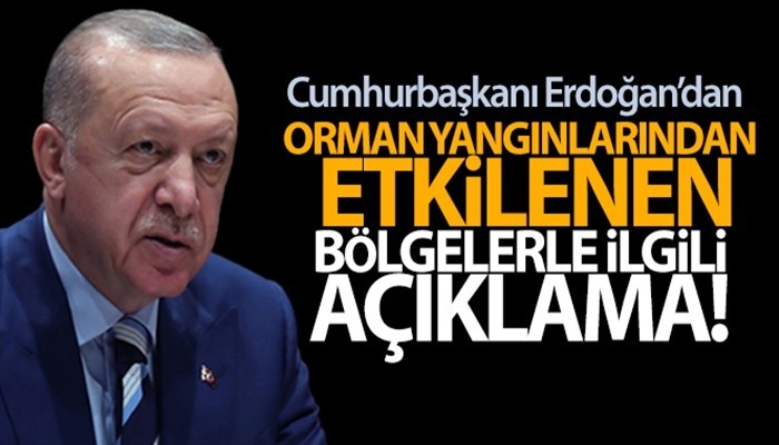 Cumhurbaşkanı Erdoğan'dan Orman yangınlarından etkilenen bölgelerle ilgili açıklama!