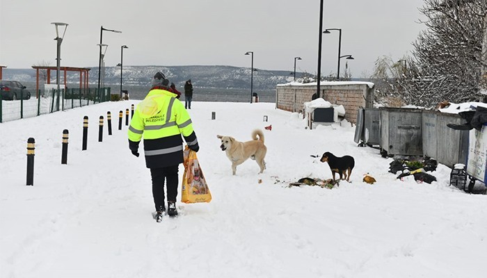 Soğuk Havada Can Dostlar Unutulmadı