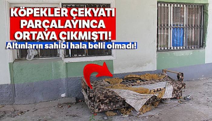 Köpeğin bulduğu altınların sahibi aranıyor