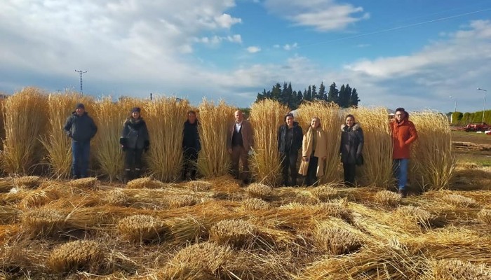 Tarihi Alan’ın Gazi Köylerinde Şifa Çiçekleri Açacak