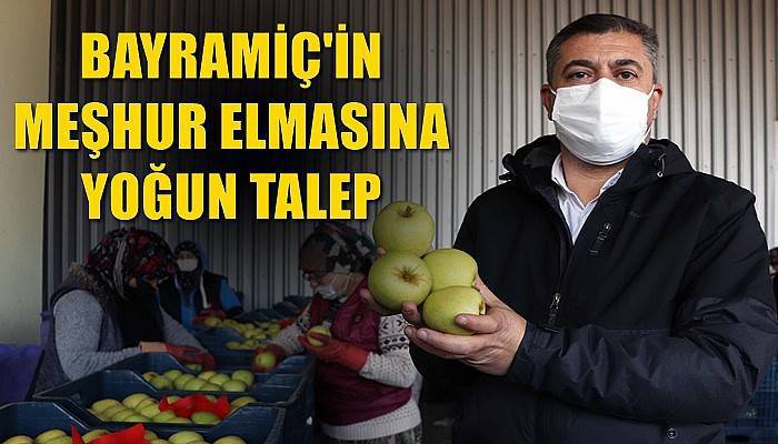 Bayramiç'in meşhur elmasına yoğun talep (VİDEO)