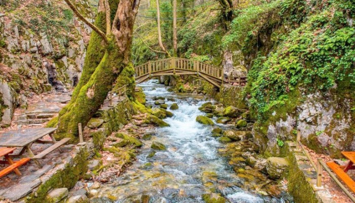 Kazdağları’nın kendine has çiçekleri