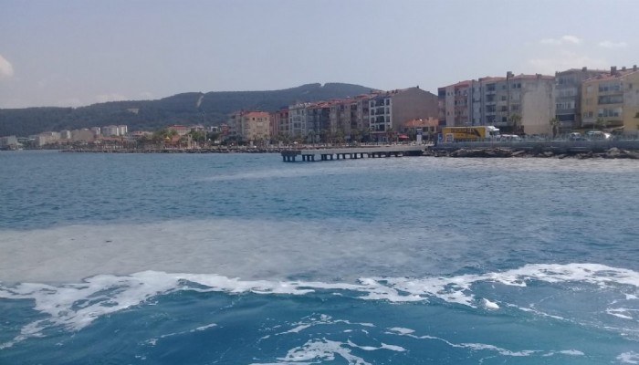 Eceabat kıyılarında Müsilaj görüldü