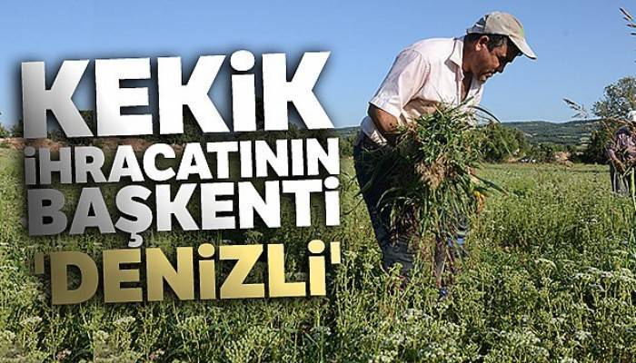 Kekik ihracatının başkenti 'Denizli'