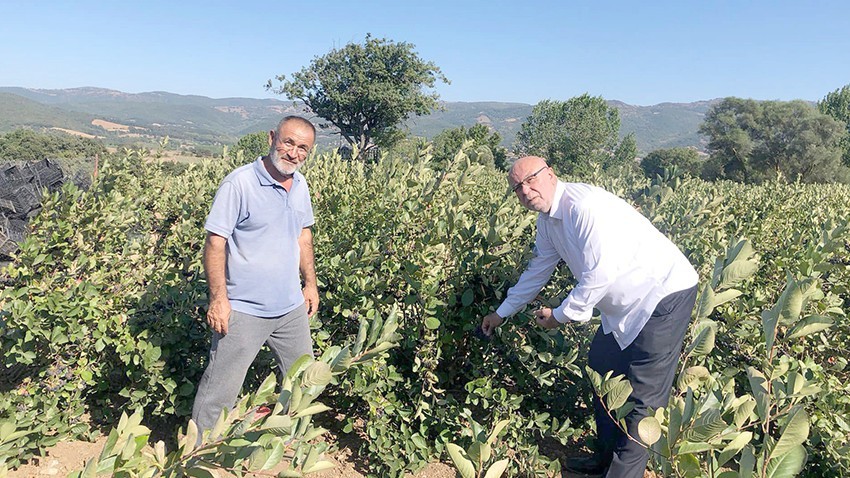 Başkan Deniz'den Aronya Bahçesine Ziyaret