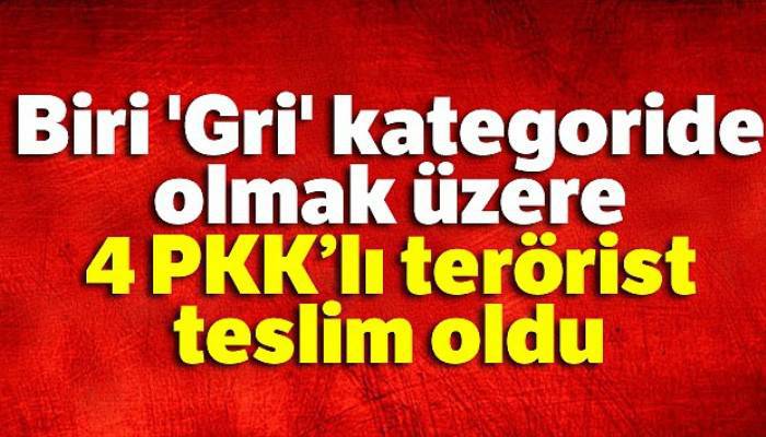 Biri 'Gri' kategoride olmak üzere 4 PKK'lı terörist teslim oldu