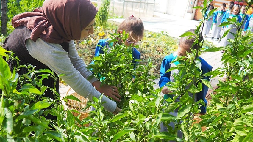 Türkiye'nin İlk Agro (Tarım) Kütüphanesi Uluslararası Yeşil Kütüphane Ödülü İçin İlk 5'te