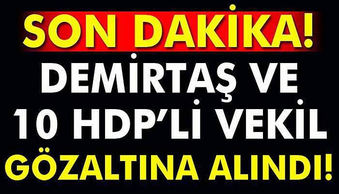 Demirtaş, Yüksekdağ ve 9 HDP'li vekil gözaltına alındı