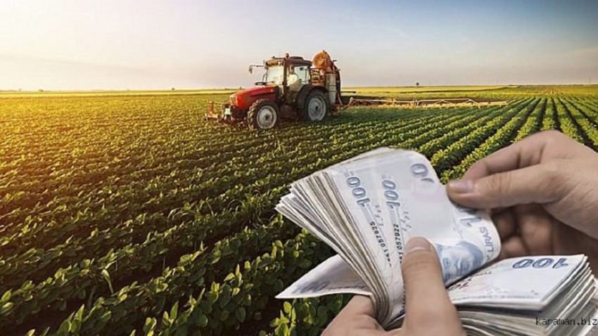 Tarımda Girdi Fiyat Endeksi Yükselişte: Nisan 2024 Verileri