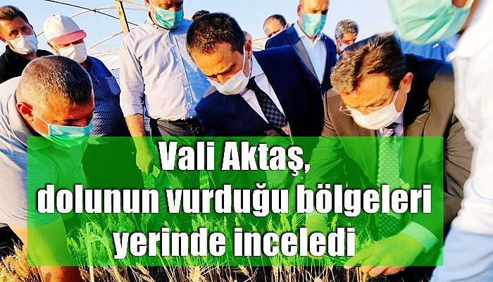 Vali Aktaş, dolunun vurduğu bölgeleri yerinde inceledi