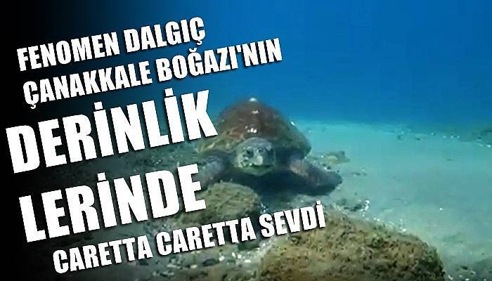 Nesli tükenmekte olan caretta caretta Çanakkale Boğazı’nda böyle görüntülendi (VİDEO)