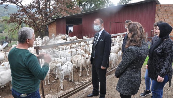 Kaymakam Dolu Gülşen Hanım Çiftliği Üretim Yerini Ziyaret Etti