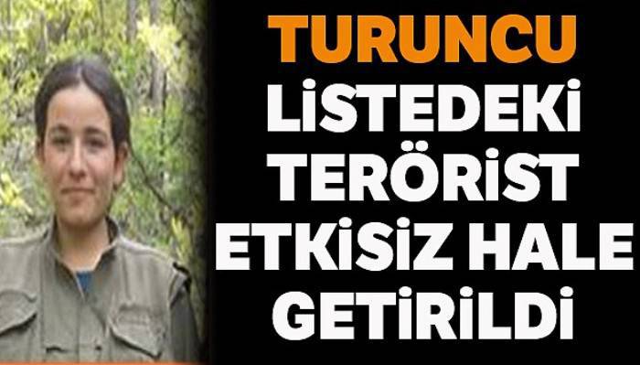 600 bin TL ödülle aranan kadın terörist ölü ele geçirildi