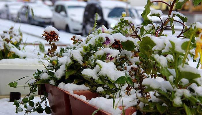 Doğu’da sıcaklık düşüyor, salı kar geliyor