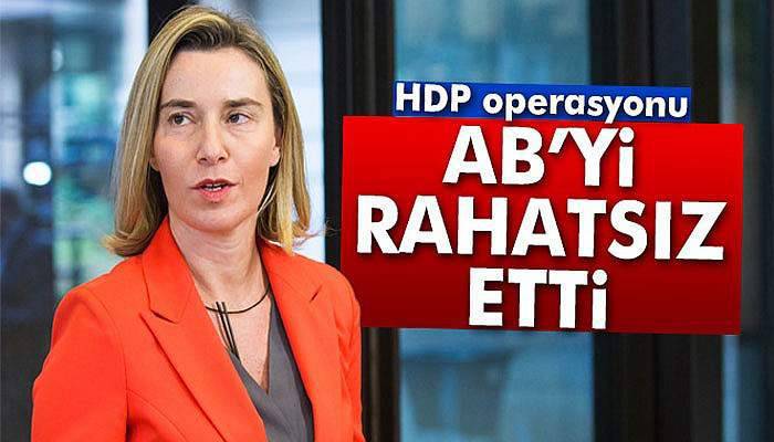 HDP’ye yapılan operasyon AB’yi rahatsız etti