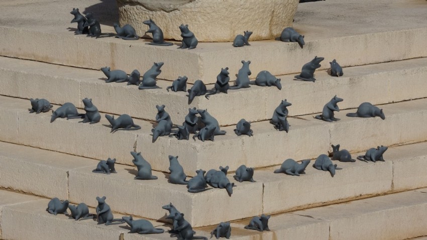 Çanakkale'deki antik kentte ziyaretçileri fareler karşılıyor (VİDEO)