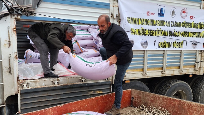 “2 bin 500 dekarda, yeniden ekim yapılacak”