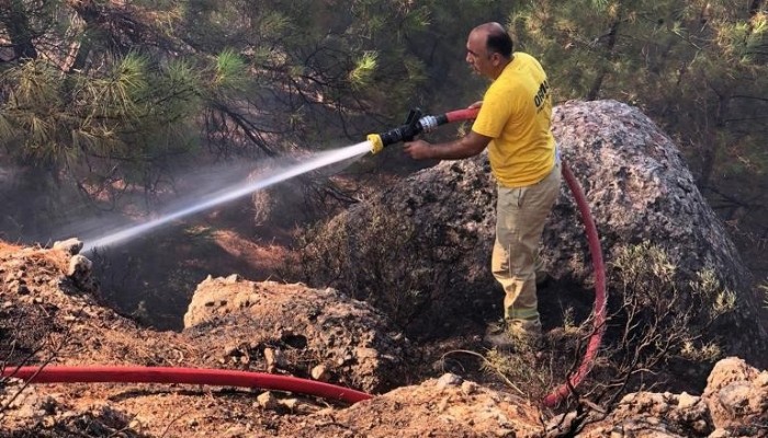 Tavaklı’da 2 haftada 5’inci orman yangını