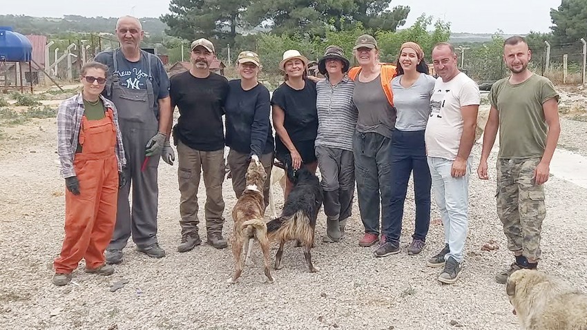 Kuzey Ege’de Bir Umut Hikâyesi, Hayvan koruma gönüllüleri oluşumundan dernekleşmeye