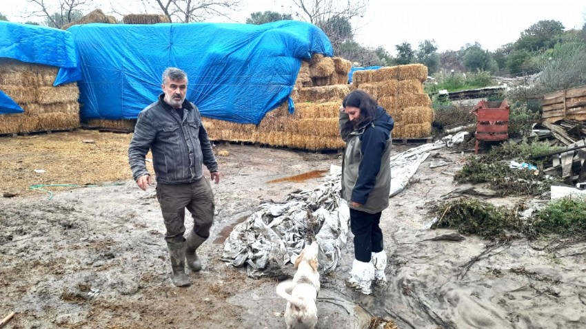 Çanakkale'de Şiddetli Yağışlar Sonucu Kalabaklı Köyünde Büyük Zararlar