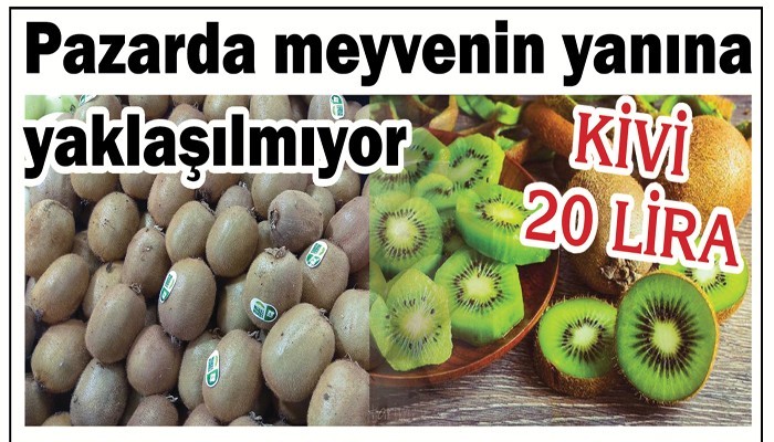 KİVİ 20 LİRA