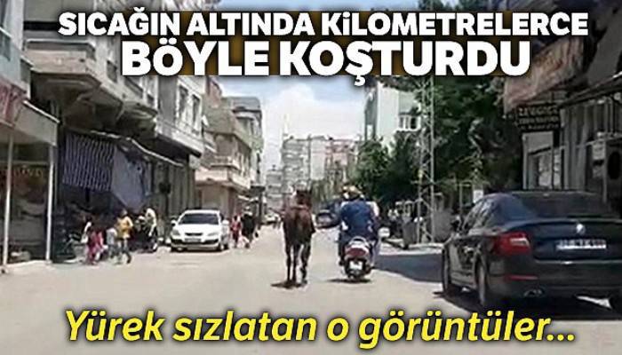 Motosiklet arkasında, atı kilometrelerce koşturdu