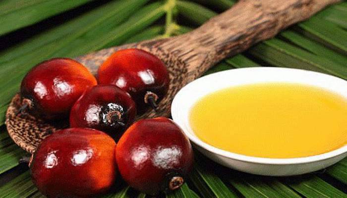  Palm olein yağının sağlığa zararları nelerdir?