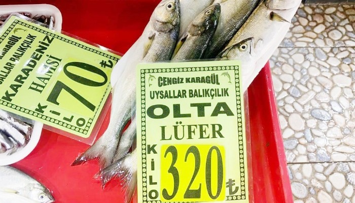 Lüfer 320 liradan tezgahta yerini aldı