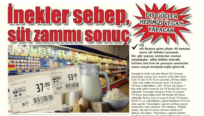 İnekler sebep, süt zammı sonuç