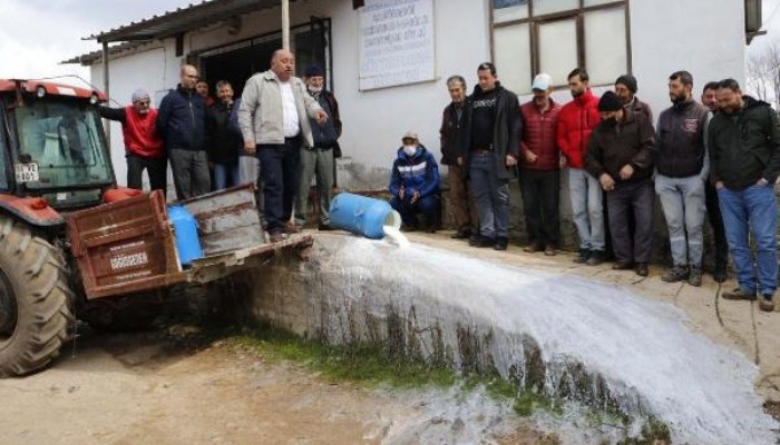 ÜRETİCİLER, DÜŞÜK FİYAT VEREN MANDIRACILARA KIZIP, SÜTLERİ DÖKTÜ