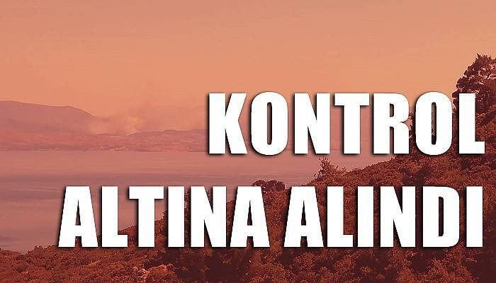 Midilli Adası'ndan yükselen dumanlar kontrol altına alındı