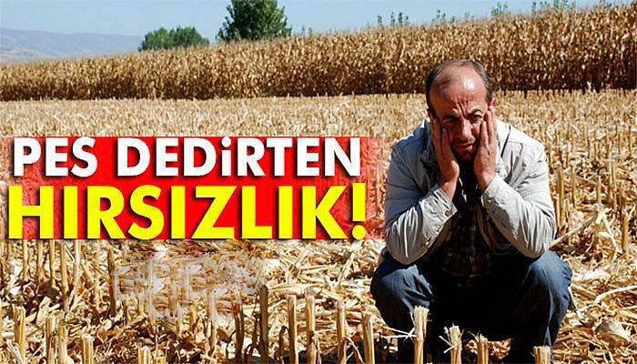 Tokat’ta pes dedirten hırsızlık!