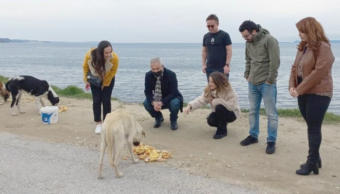 Avukatlar Sokak Hayvanlarını Besledi