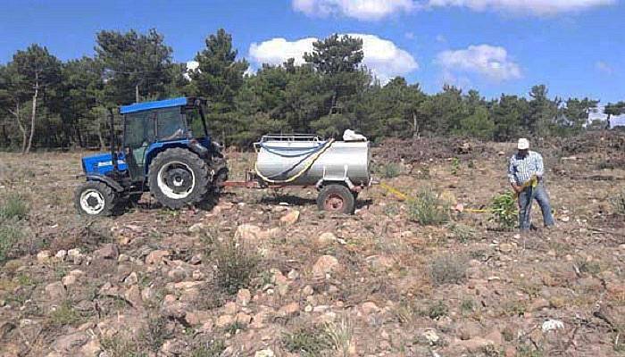 Ağaçlandırma Çalışmaları devam ediyor