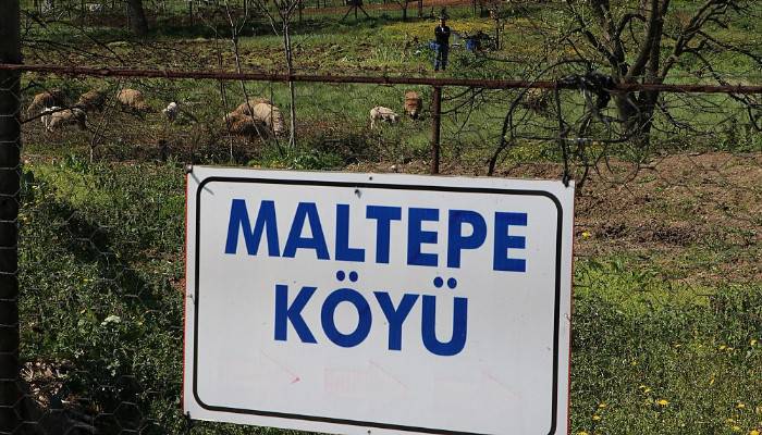 Karantinadaki Maltepe köyünde 12 gündür sessizlik hakim