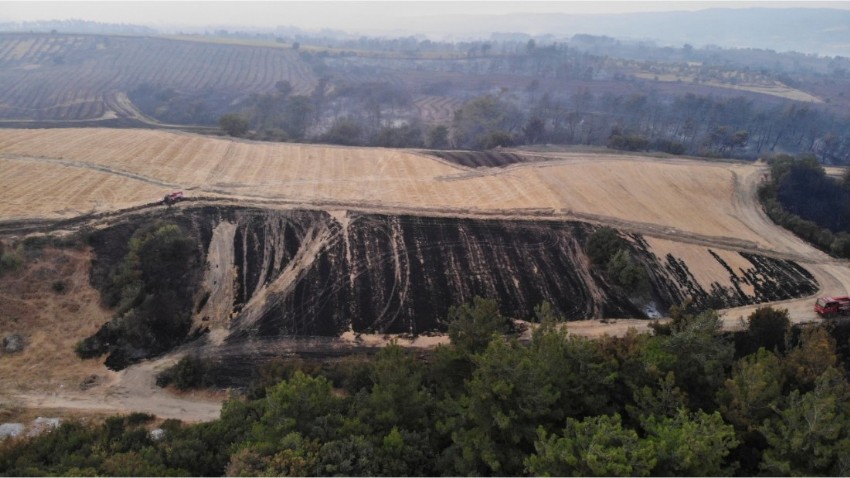Çanakkale, 21 saattir alevlerle mücadele ediyor: Yangından 1500 hektar alan etkilendi!