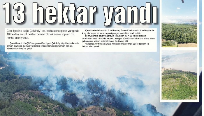 13 hektar yandı 