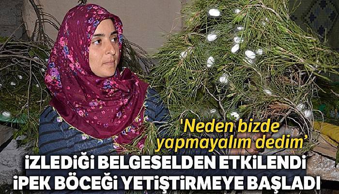 Ev hanımıydı izlediği belgeselden etkilendi ipek böceği yetiştirmeye başladı