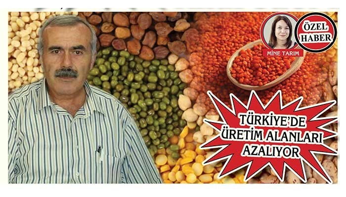 Tarımda Tehlike Çanları Çalıyor! “Mercimeği Kanada’dan ithal eder hale geldik”