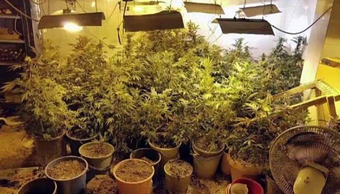 Uyuşturucu tacirlerine baksın