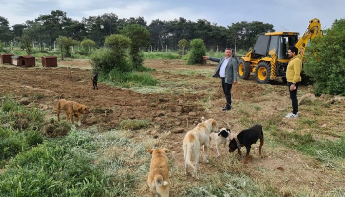 Rehabilitasyon merkezinde yenileme yapılıyor