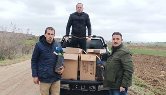 BİGA'DA ANTEPFISTIĞI ÜRETİLECEK