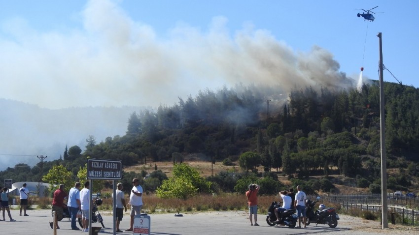 Çanakkale Orman Bölge Müdürlüğünden Kilitbahir'deki yangınla ilgili açıklama (VİDEO)