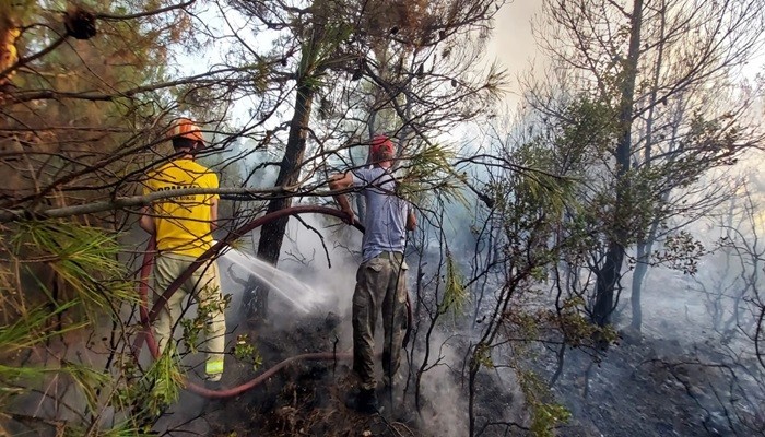 Ezine’deki orman yangını kontrol altında