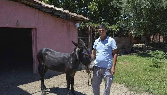 Eşeği kamyonetin kasasına bağlayarak çeken bekçi konuştu