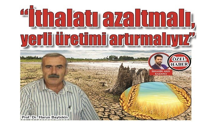 'GELECEK YILLARDA EKMEĞİ DAHA PAHALIYA YİYECEĞİZ': 'İthalatı azaltmalı, yerli üretimi artırmalıyız'