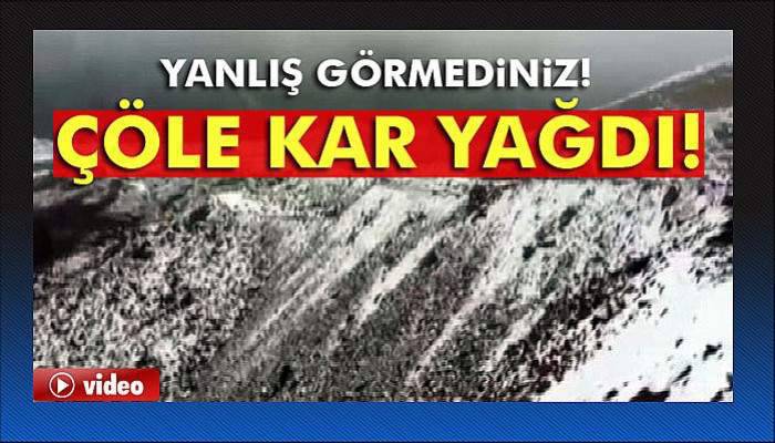 Suudi Arabistan’da çöle kar yağdı
