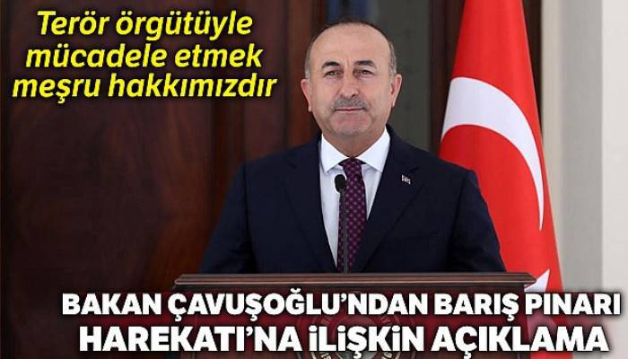 Bakan Çavuşoğlu, 'Terör örgütüyle mücadele etmek meşru hakkımızdır'